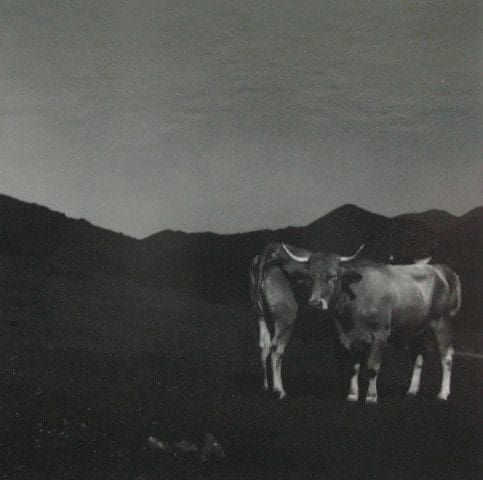 Chrystele Lerisse Baudoin Lebon